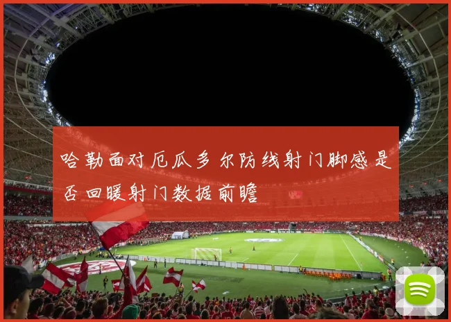 哈勒面对厄瓜多尔防线射门脚感是否回暖射门数据前瞻