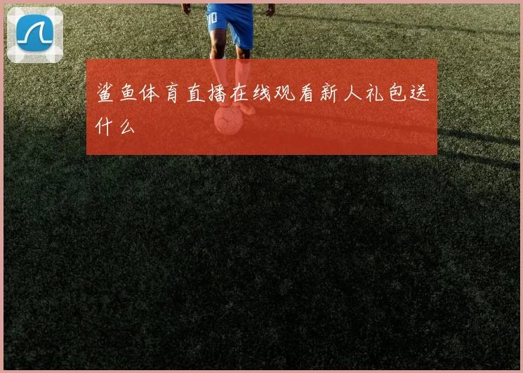 鲨鱼体育直播在线观看新人礼包送什么