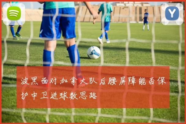 波黑面对加拿大队后腰屏障能否保护中卫进球数思路