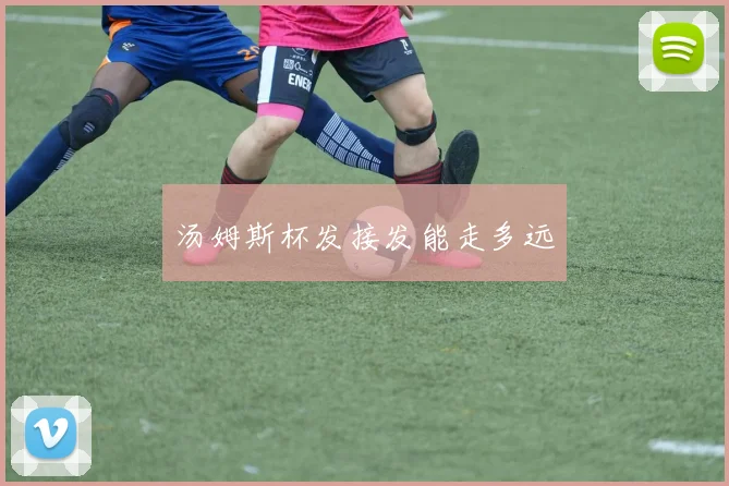汤姆斯杯发接发能走多远