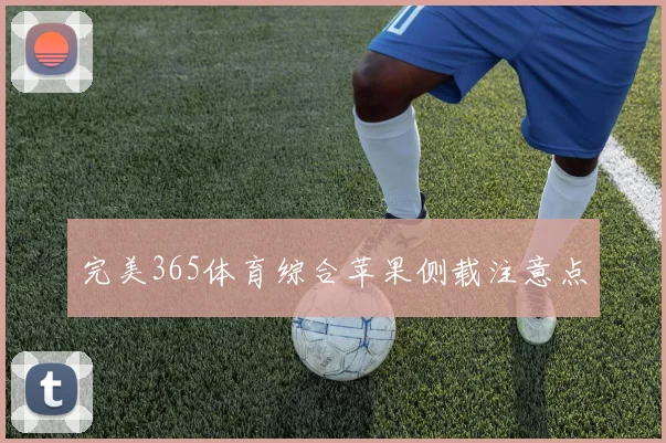 完美365体育综合苹果侧载注意点