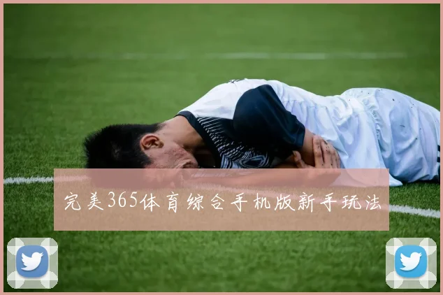 完美365体育综合手机版新手玩法