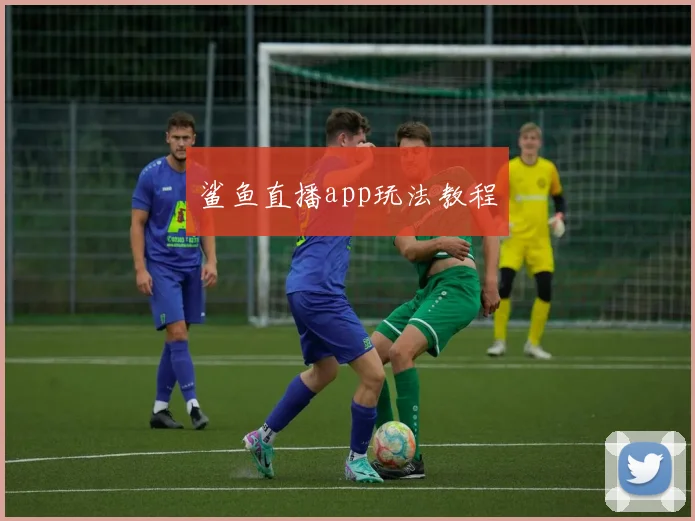 鲨鱼直播app玩法教程