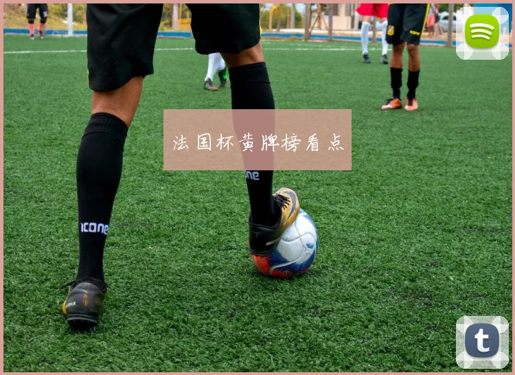 法国杯黄牌榜看点